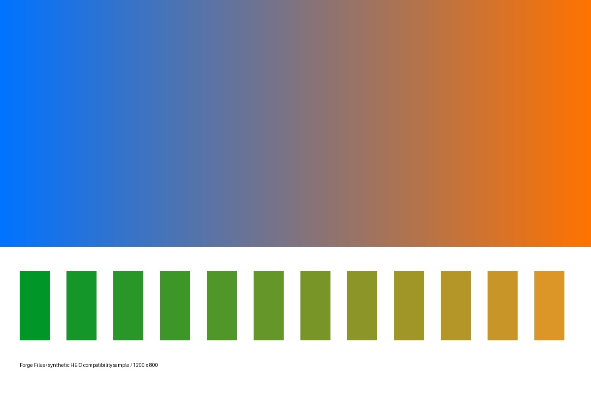 Converted diagnostic image with a color gradient and rectangular swatches
